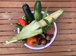 How to store zucchini, tomatoes and more summer produce like a chef