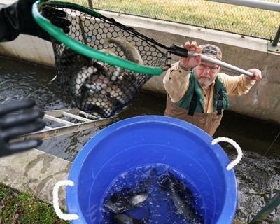 Fish raised by Lancaster County sportsmen will be stocked for