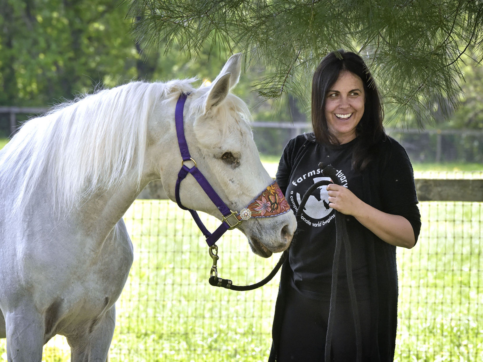 Lily the paintball pony adopted by comedian Jon Stewart died