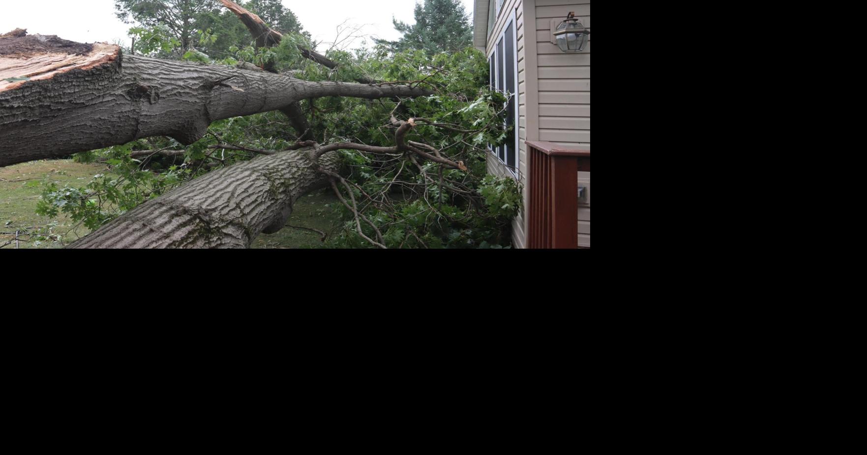 Lancaster County cleans up after 'heck of a storm' downs trees, cuts power to thousands [update]