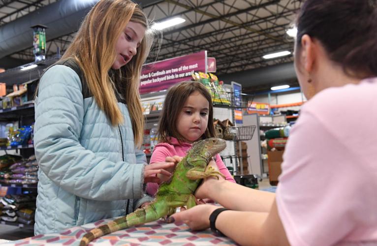 Reptilian critters come to Lancaster County, courtesy of Reptile
