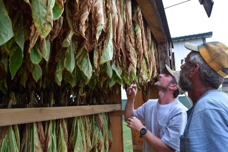 high yield tobacco stocks What's currently your favorite high dividend yield stock and why? -  Investing / Portfolios