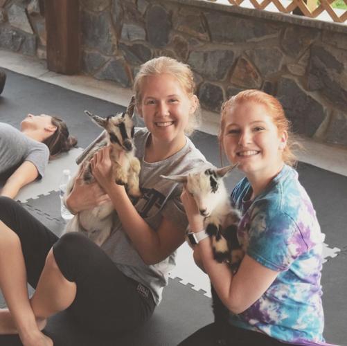 Goat yoga