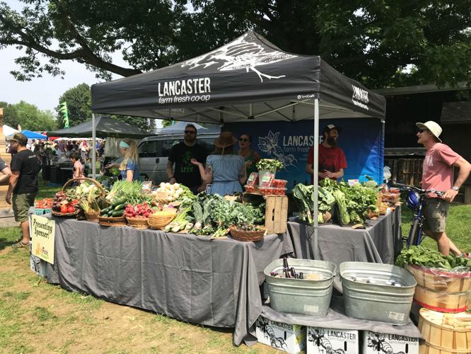 Thousands enjoy music, vegan food at 3rd annual Lancaster VegFest [photos, video] Life