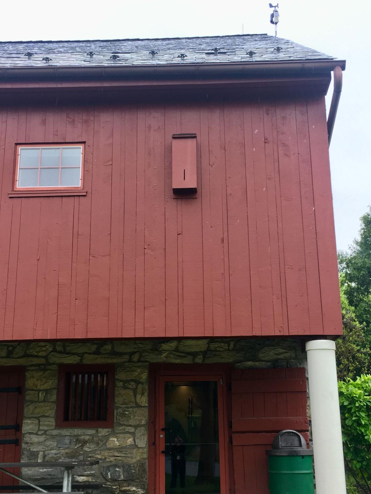 How To Lure And Protect Backyard Bats Yes It S A Good Thing