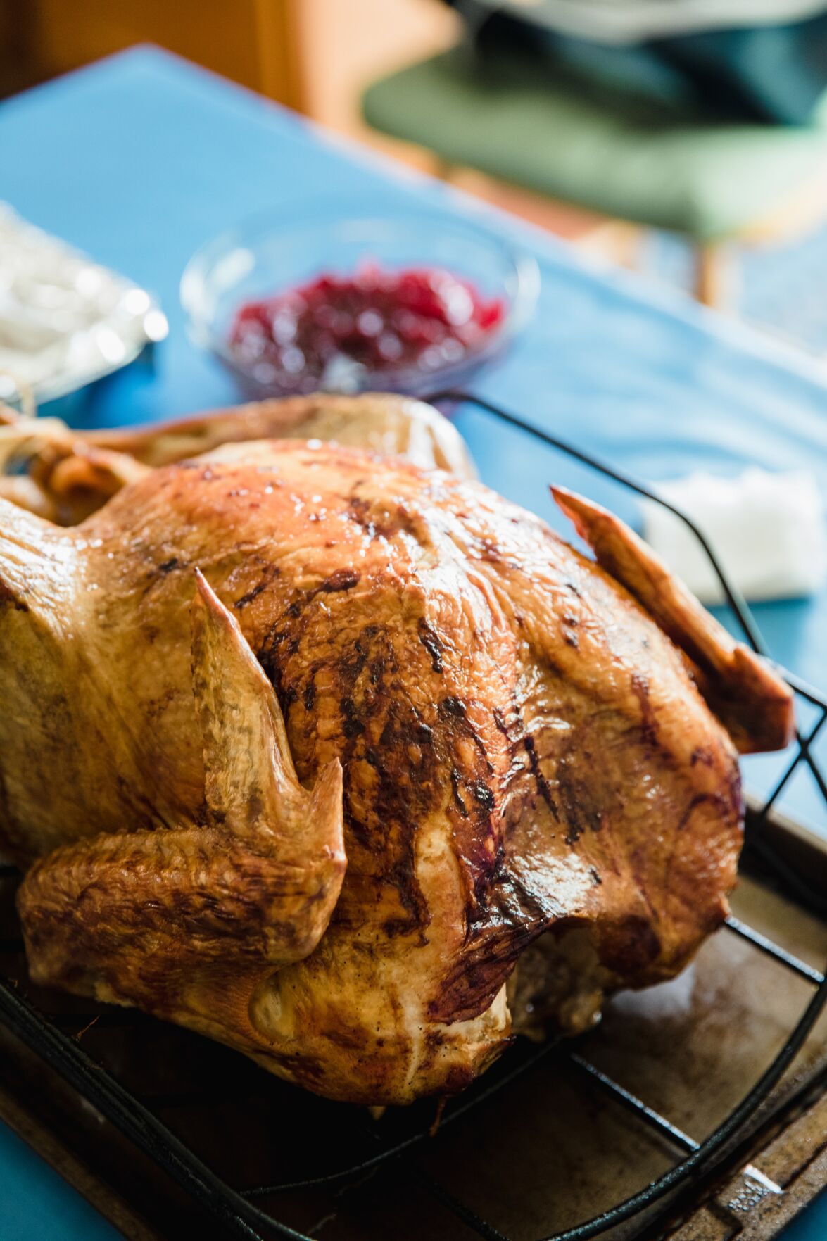 Thanksgiving Fresh Turkey DEPOSIT – Stillman Quality Meats