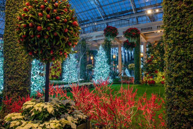 Longwood Gardens Christmas Lights 2025