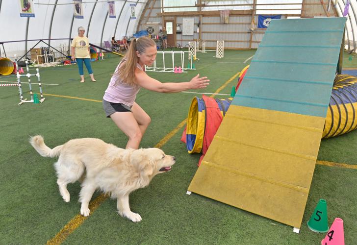 Rocky Creek Dog Agility 5.jpg