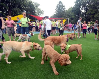 Dog Parks 4 Places To Enjoy Time With Your Pup In And Around Lancaster County Photos Food Living Lancasteronline Com