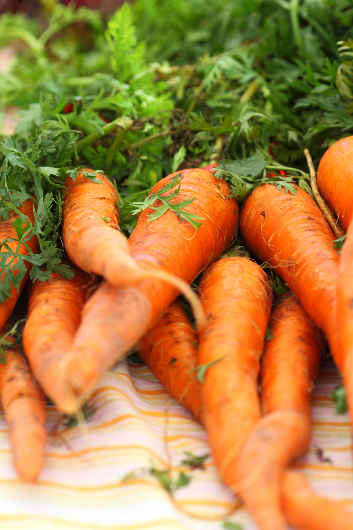 Meatless Monday August is Pennsylvania Produce Month