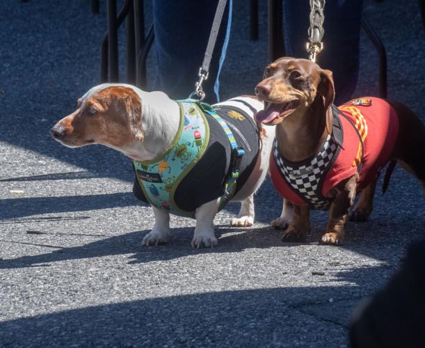 Kitchen Kettle Village shows tailgating is not just for football