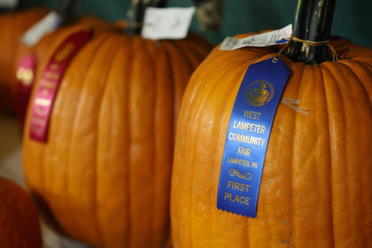 West Lampeter Fair kicks off as queen is crowned [photos] | Local News ...