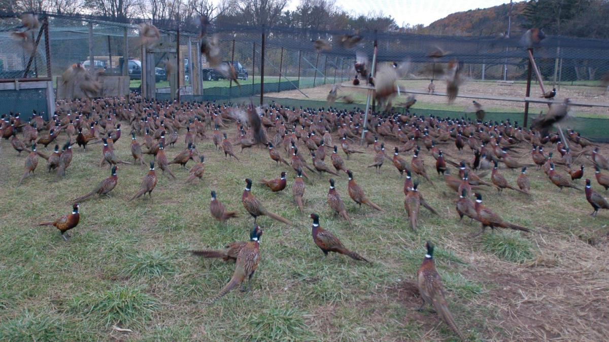 Sadness over news that Pennsylvania Game Commission will close 2 of 4