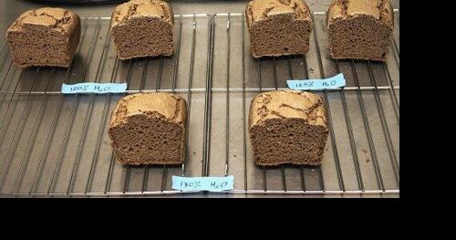 Sorghum Bran rises as an ingredient for enhancing gluten-free bread - Vimarsana News
