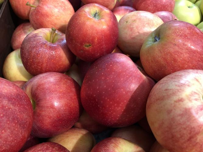 Apple Red Delicious Conventional, 1 Each