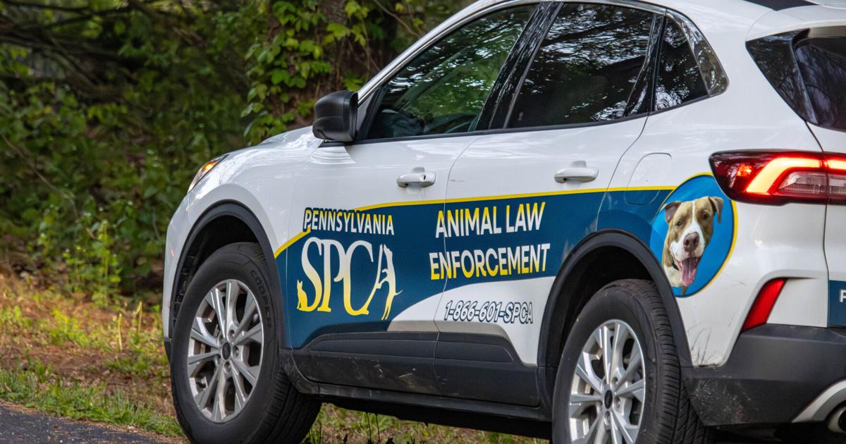 West Hempfield couple face more than 100 charges in animal neglect case