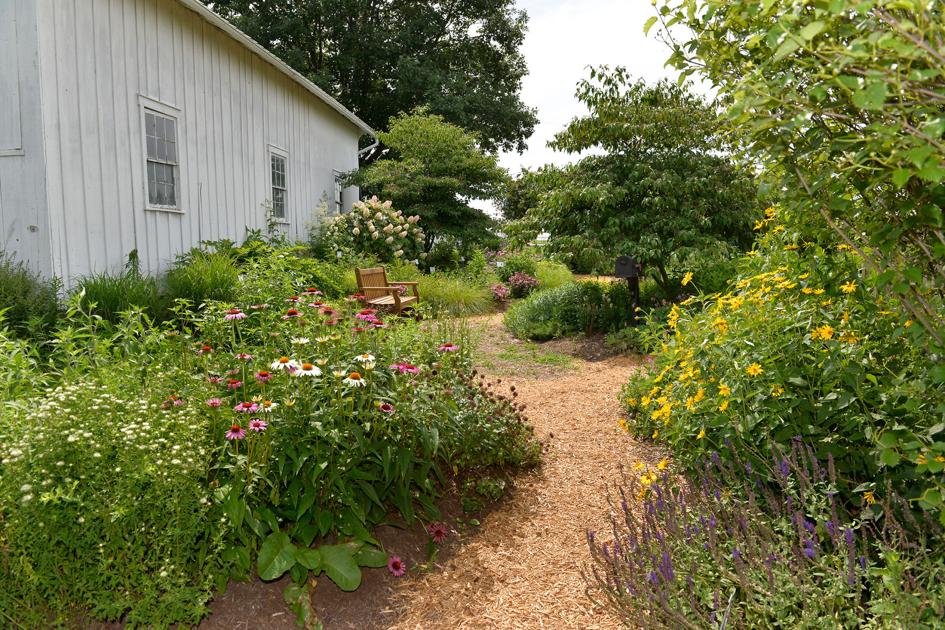 10 native plant gardens and nurseries to check out in the Lancaster