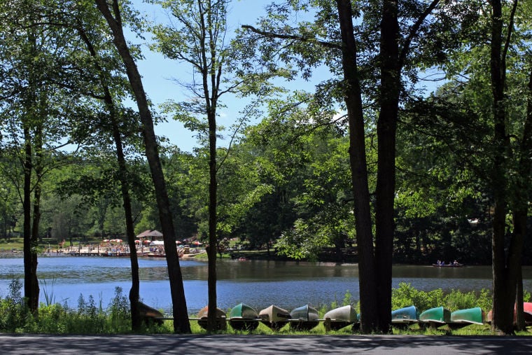 Mt gretna art show discount coupons