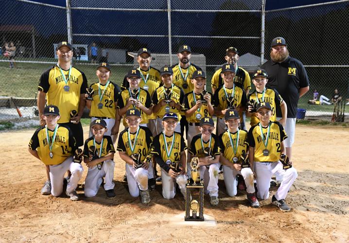 Mountville Cubs vs. Penn Manor Comets LNP 10U baseball championship