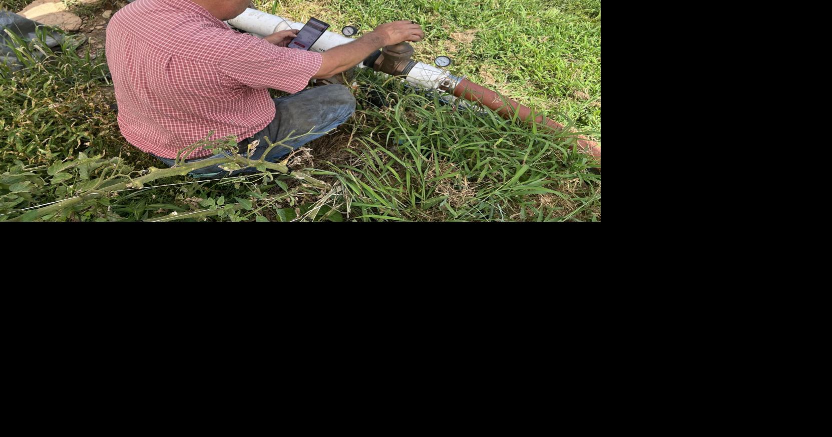 Listen Now: Where does hemp stand? A Day in the Life of a Lancaster County Hemp Farmer [podcast]