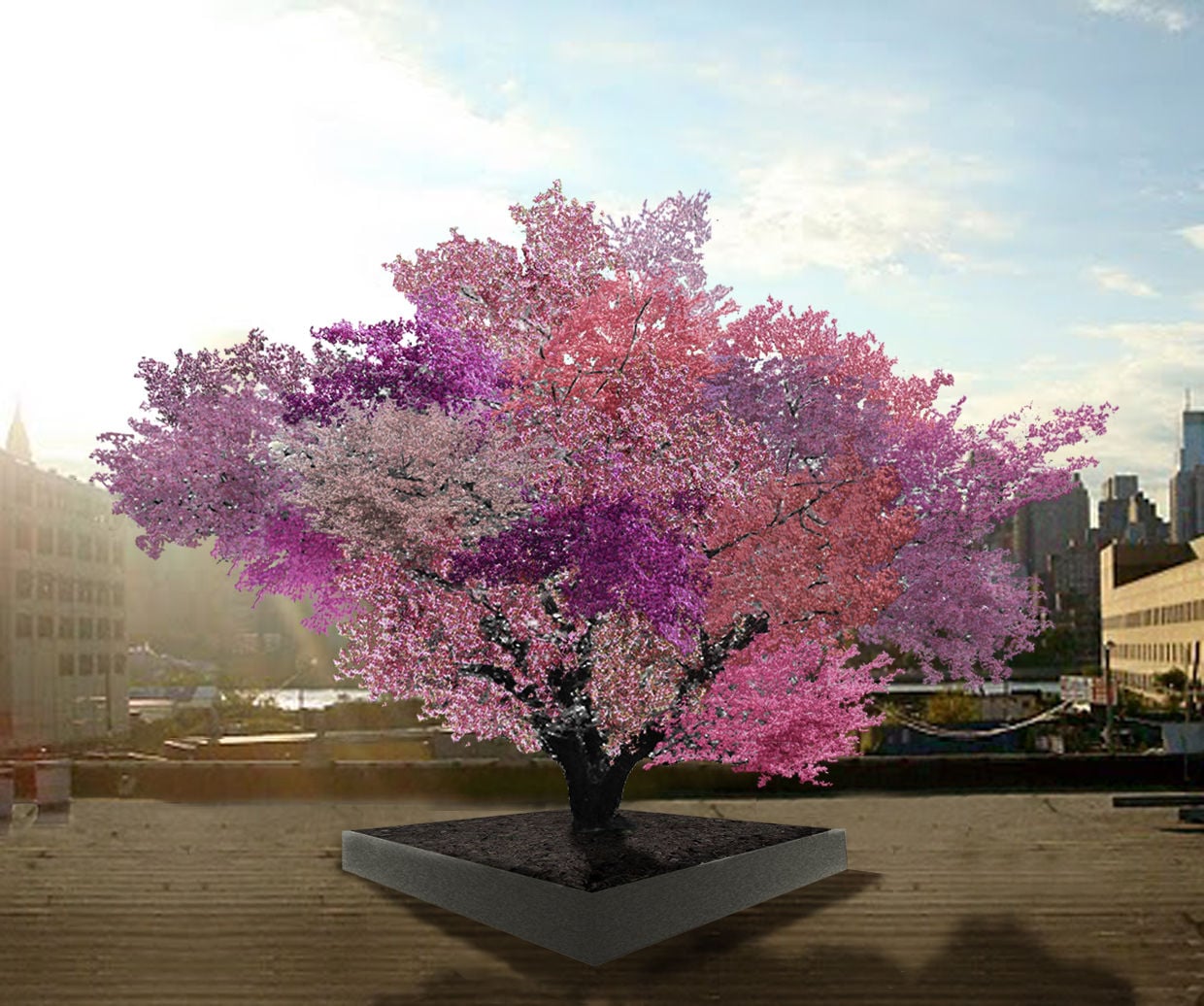 Tree of 40 Fruit is art, research and conservation in one awesome