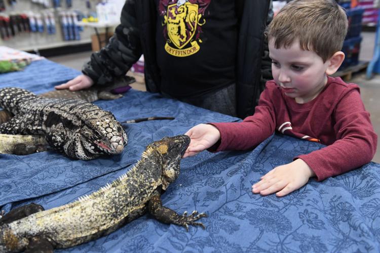 Reptilian critters come to Lancaster County, courtesy of Reptile