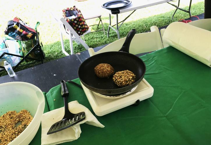 Thousands enjoy music, vegan food at 3rd annual Lancaster VegFest [photos, video] Life