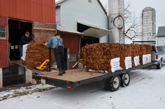 lancaster leaf tobacco company pennsylvania Bumper tobacco crop allows growers to cash in | News