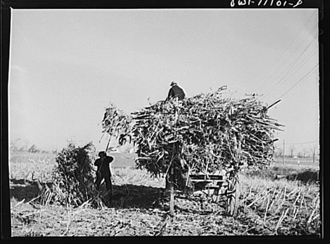 Explore 13 photos of farm life in Lancaster County from the 1930s and ...