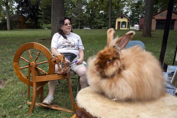 Rabbits, sheep and spinning wool scenes from Lancaster's 6th annual