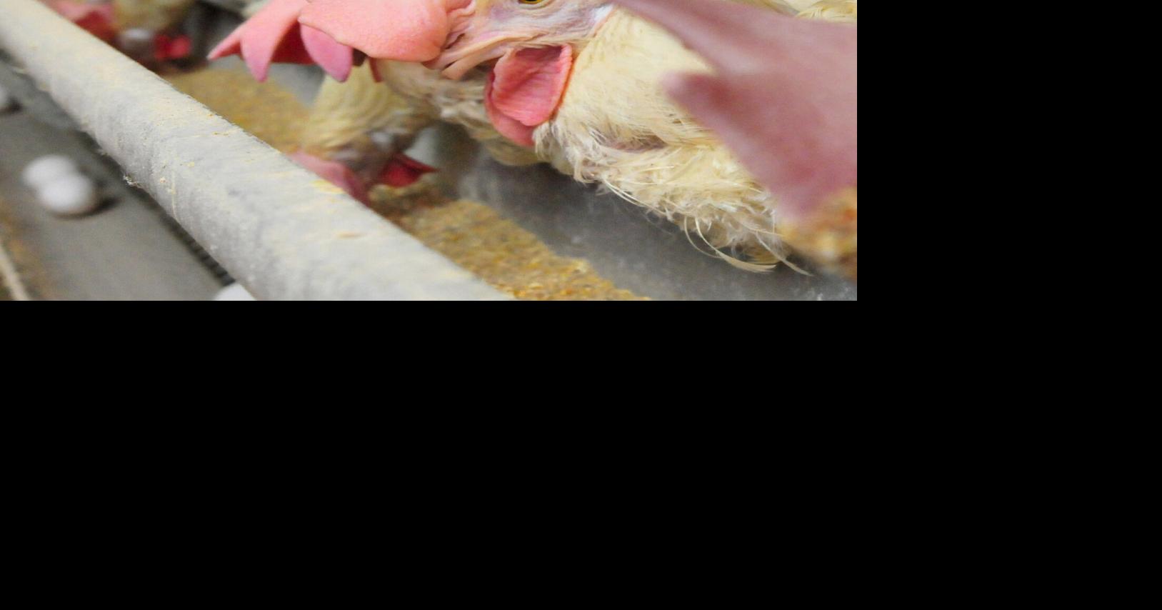 Planning protects Pennsylvania’s future against unforeseen crises [column]