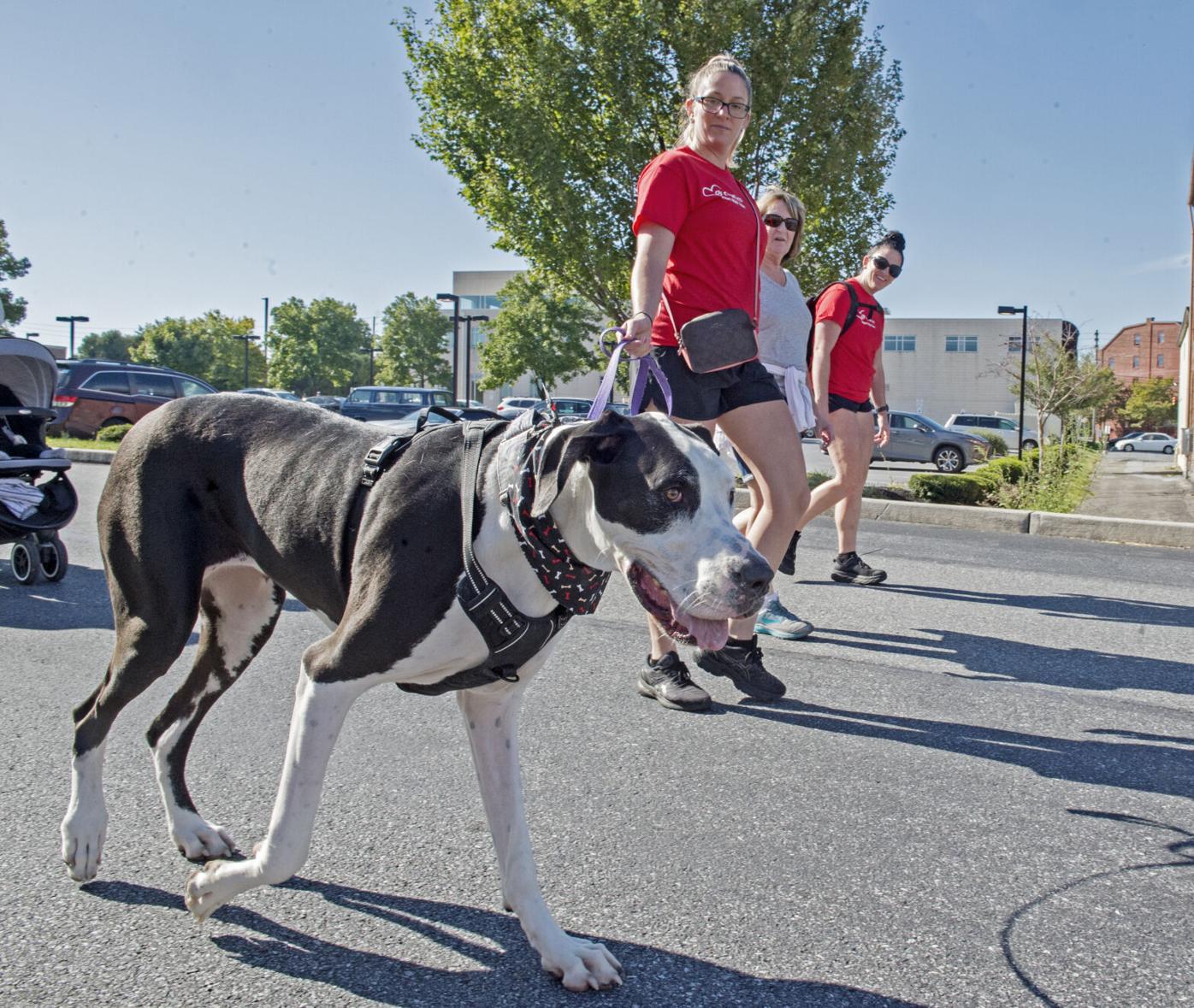 Heart Walk