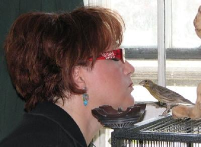 State Agents Seize Pet Wild Bird News Lancasteronline Com