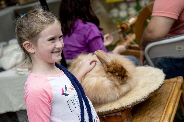 Rabbits, sheep and spinning wool scenes from Lancaster's 6th annual