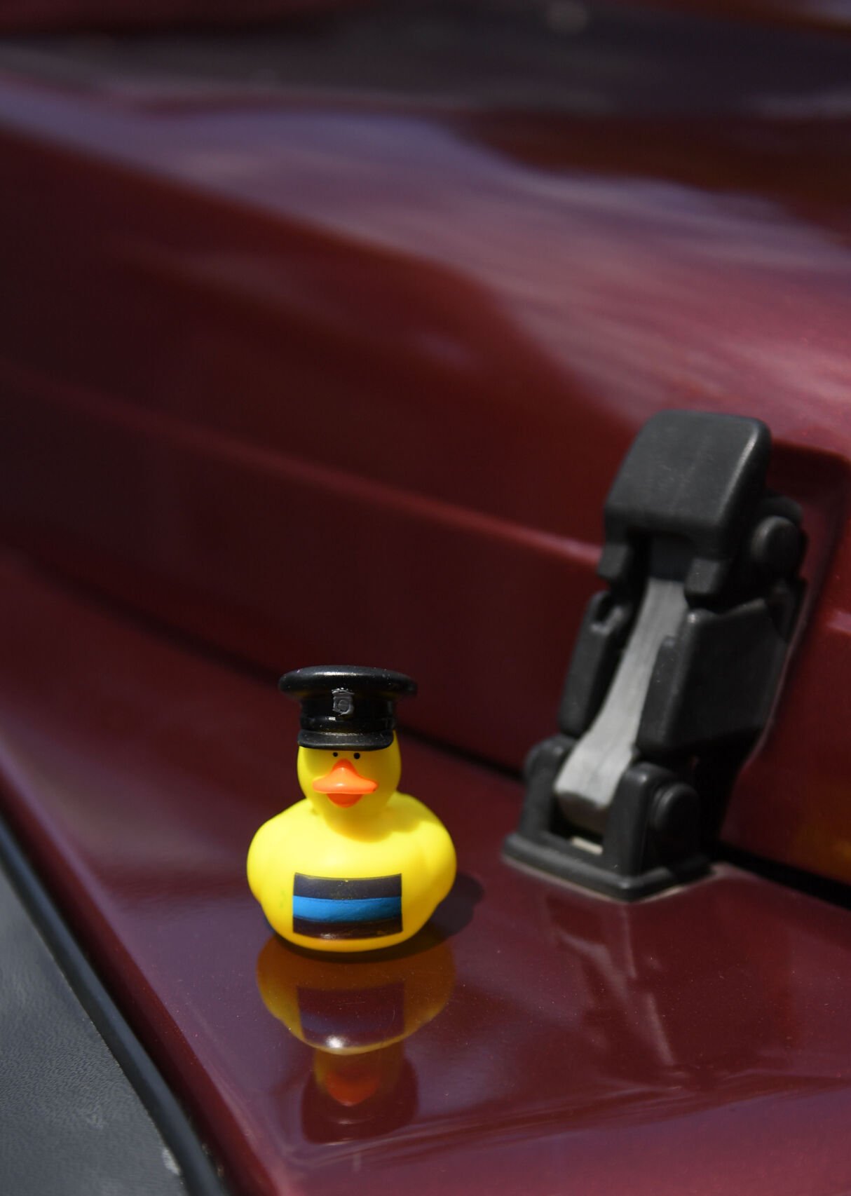 Jeep owners: Meet 'Ducktion Cups,' a simple device to keep your rubber ducks  in place