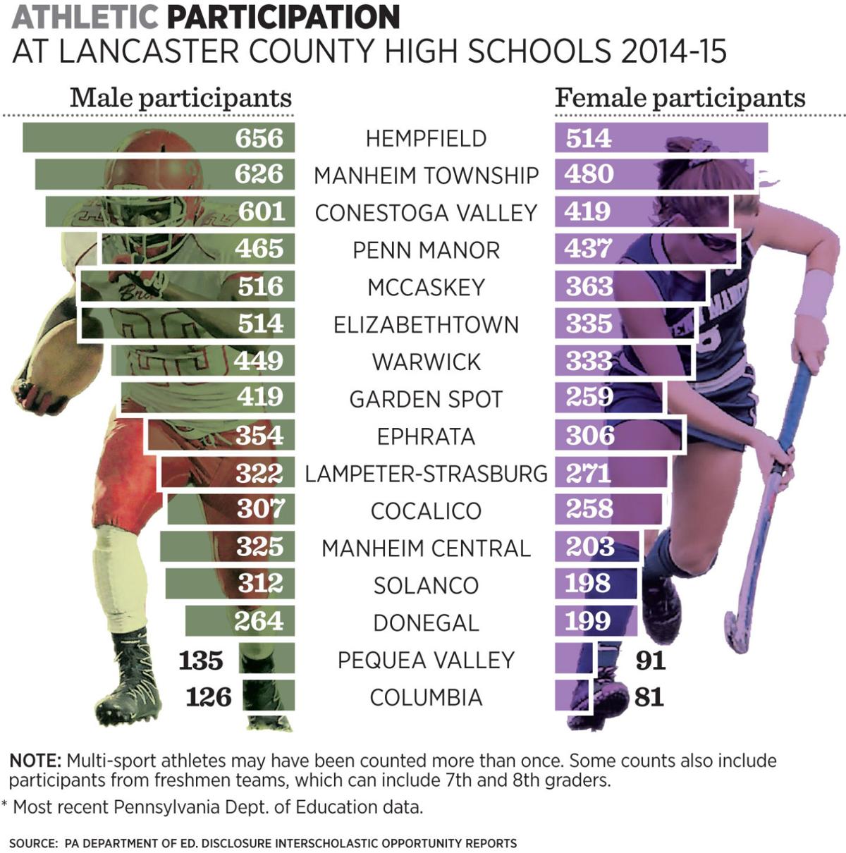 What goes into high school sports A look at the numbers of
