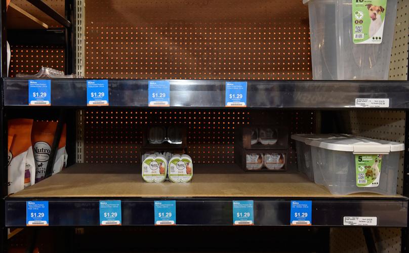 Pet food shortage in Lancaster County [photos]