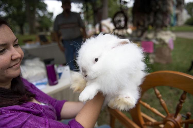 Rabbits, sheep and spinning wool scenes from Lancaster's 6th annual