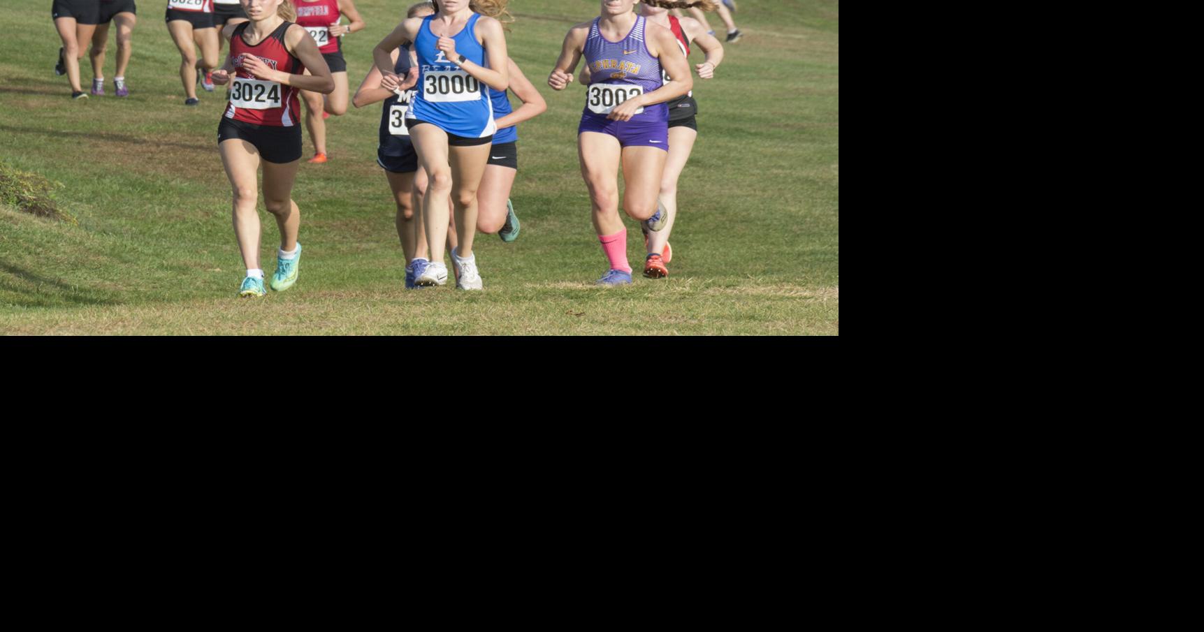 21 L-L League runners set to compete in Saturday's PIAA cross country ...