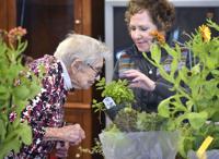 Honey Brook retirement home garden club goes for another win at the 2017 Philadelphia Flower Show