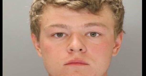 Sadsbury Township man pleads guilty to sexually assaulting a dog in 2023 - Vimarsana News