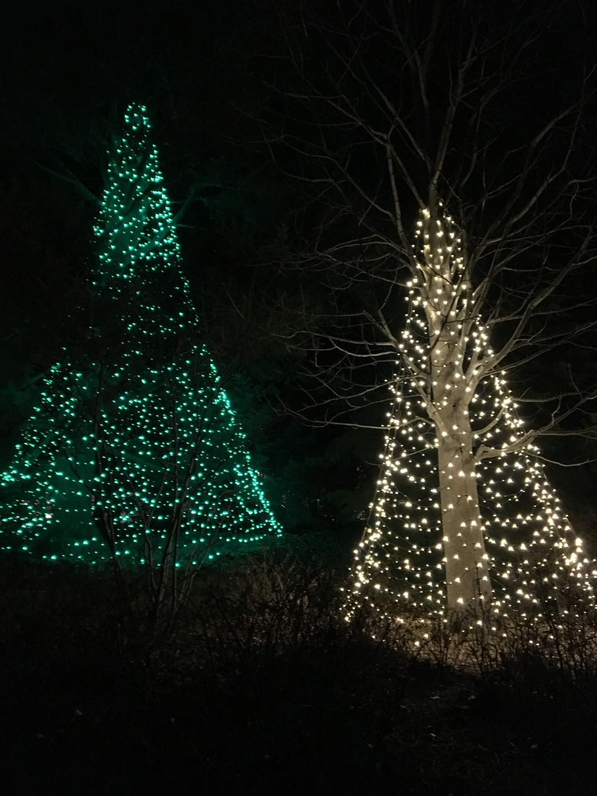 French Inspired Holiday Decor Lights Up Longwood Gardens