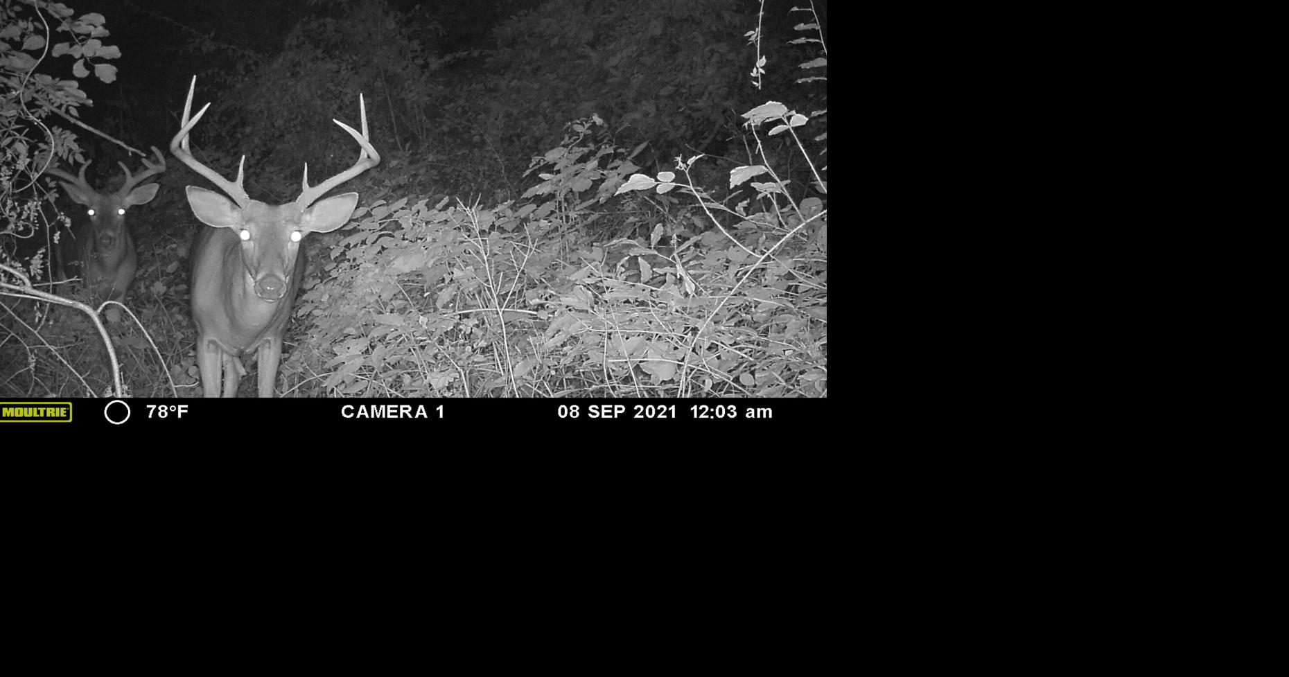 State bill aiming to tweak firearms deer season misses the mark [column ...