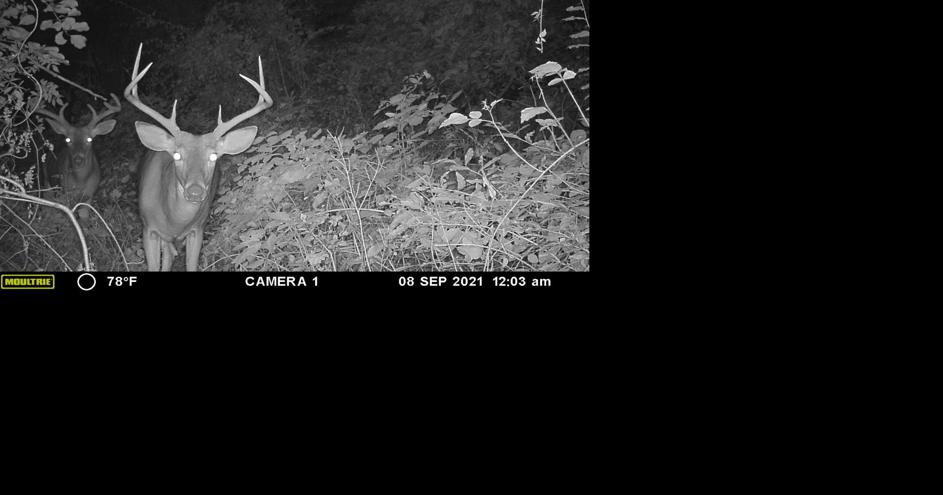 State bill aiming to tweak firearms deer season misses the mark [column]