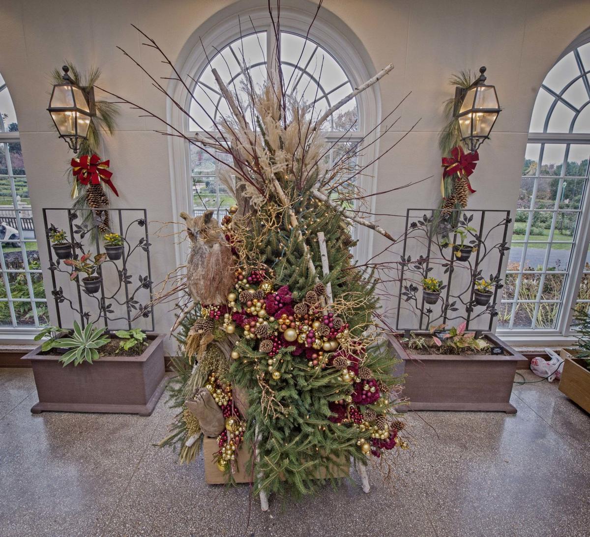 Hershey Gardens Christmas Tree Showcase Food + Living