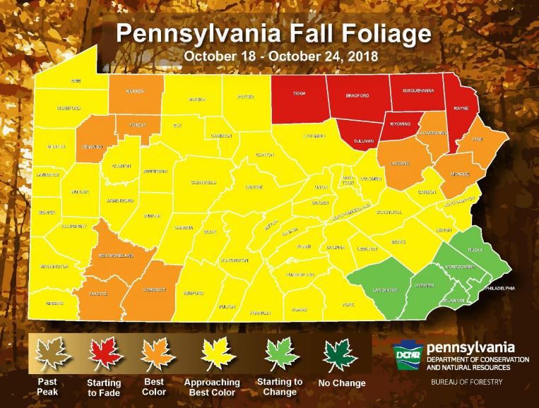 Fall foliage in Lancaster County and beyond Where and when to find