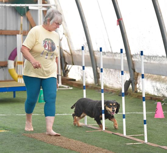 Rocky Creek Dog Agility 6.jpg