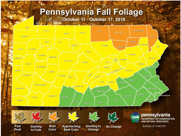 Lancaster County Is Still Green But Autumn Colors Are Approaching Their Peak In Most Of Pennsylvania Local News Lancasteronline Com