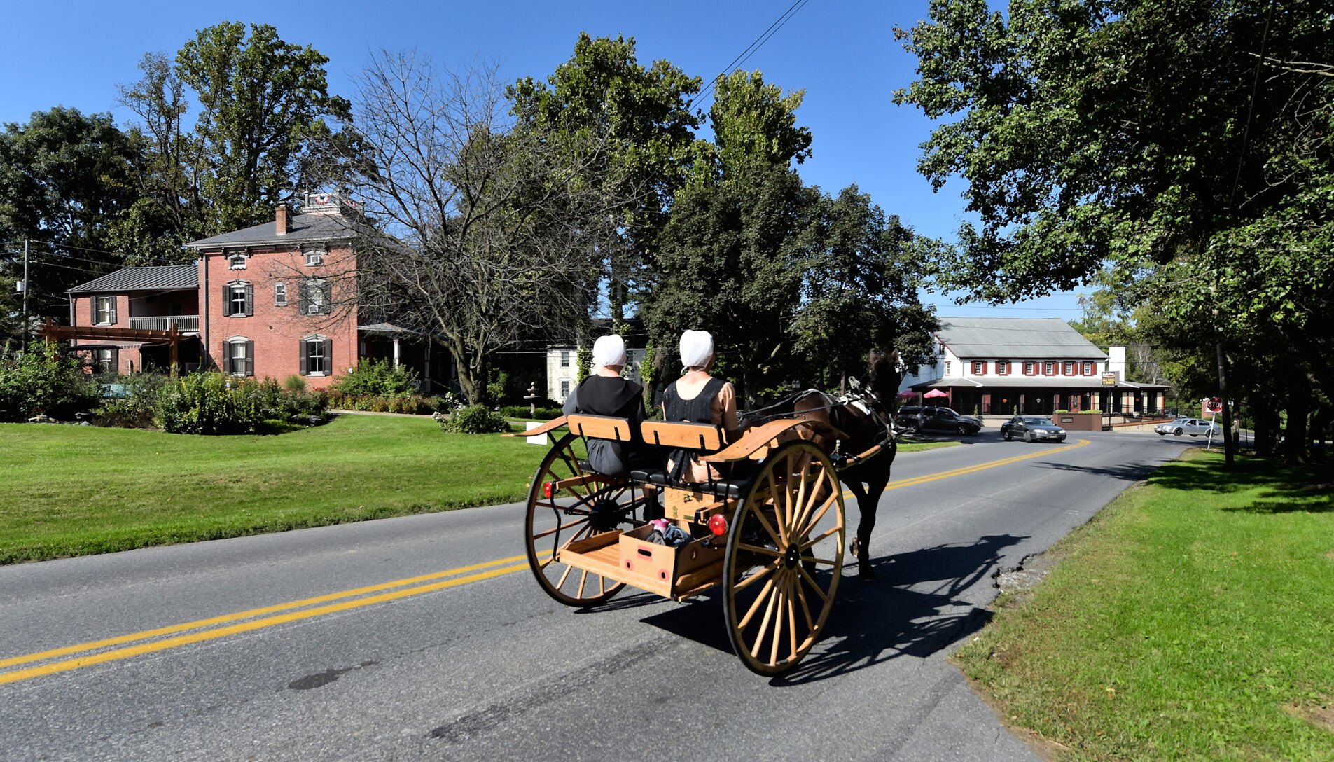 'In Plain View,' A New Book, Looks At The Lives Of Amish Women; Author ...