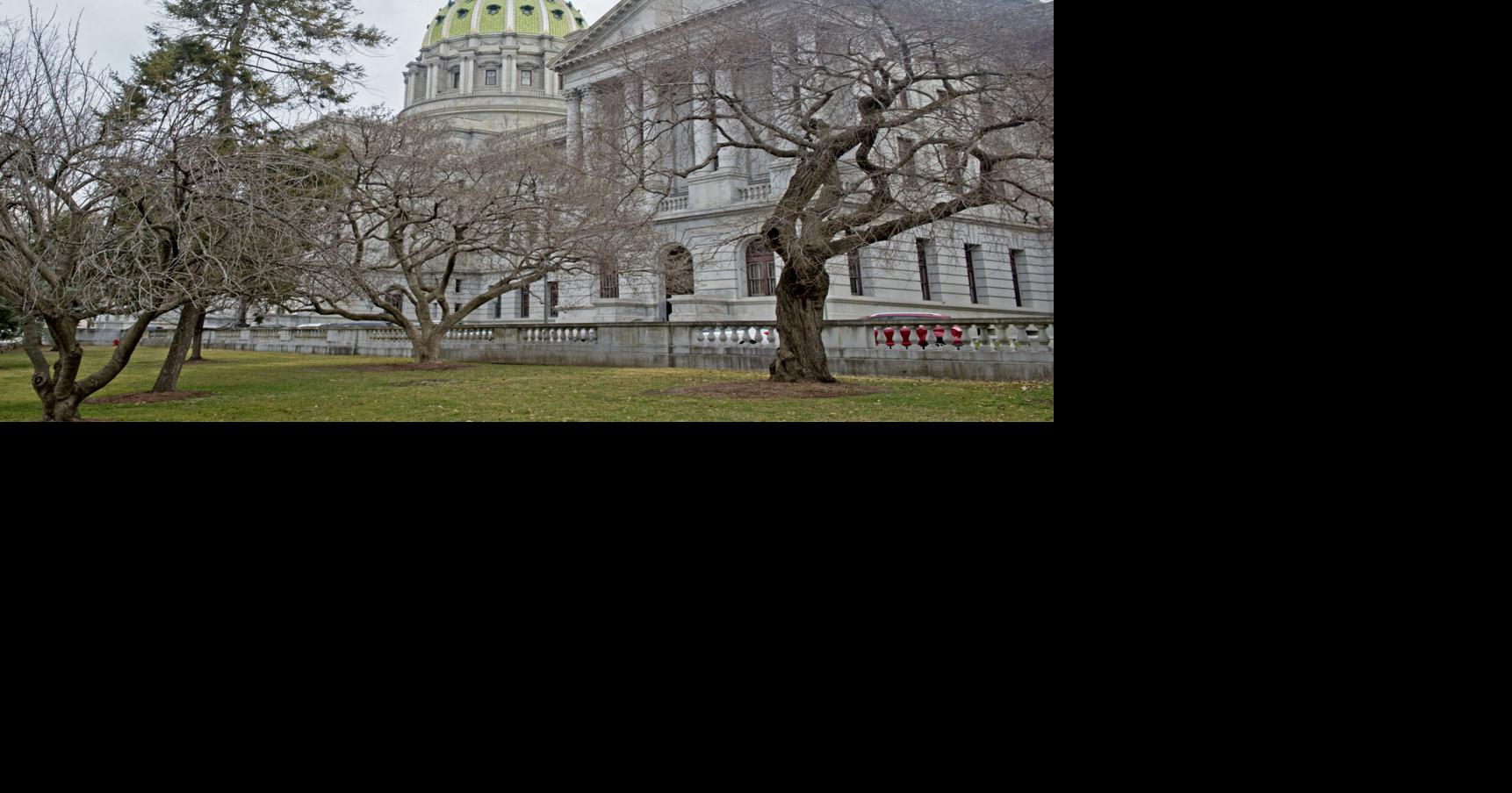 Pennsylvania lawmakers must step up to protect children from gun